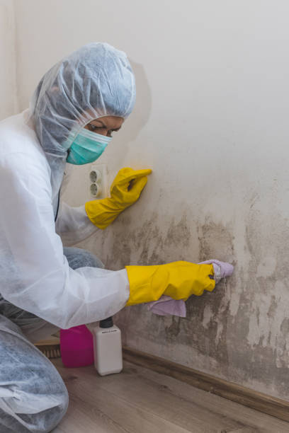 Best Forensic Mold Investigation  in Goshen, AR