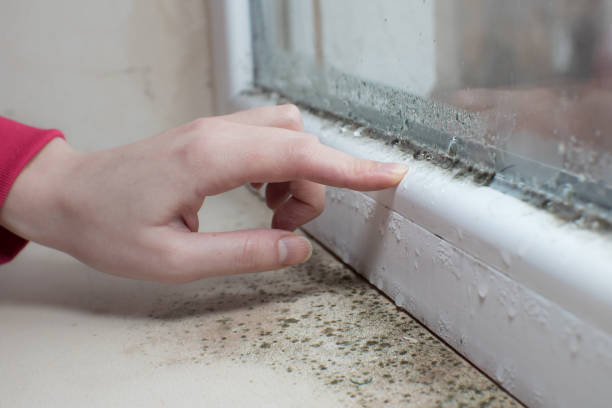 Best Mold-Related Health Consultation  in Goshen, AR