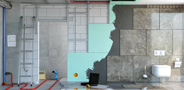 Best Basement Mold Removal  in Goshen, AR