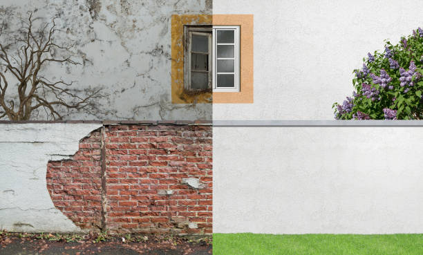 Best Commercial Mold Inspection  in Goshen, AR