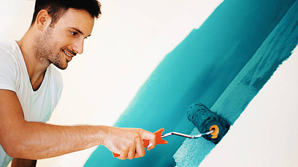 Best Mold Odor Removal Services  in Goshen, AR